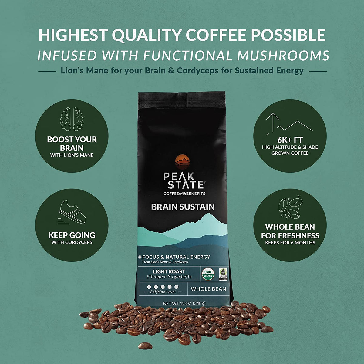[FM] BRAIN SUSTAIN Light Roast - 5lb Whole Bean