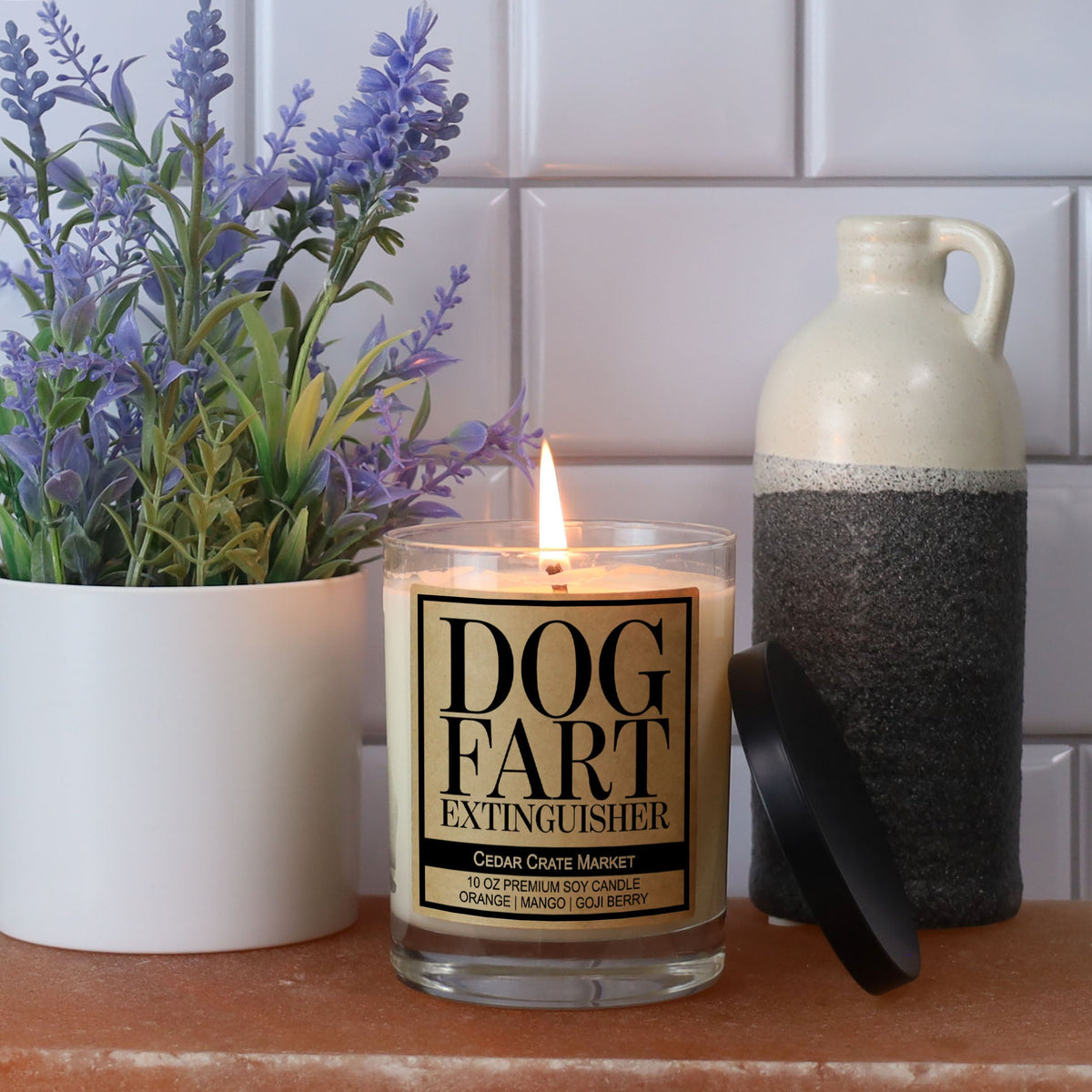 Dog Fart Extinguisher Funny Candles for Dog Lovers